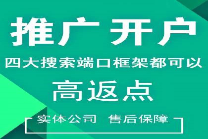 百度SEM推广案例解析：成功秘诀大公开