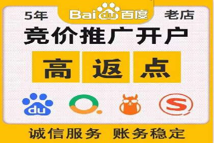 成功运用SEM技术提升网站流量的案例研究